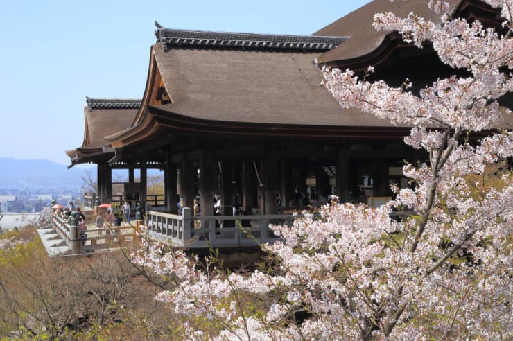 京都清水寺樱花全攻略：历史建筑与自然美景的完美融合