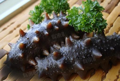 小孩能吃海参吗？专家解读海参食用指南