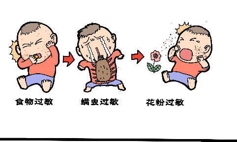 过敏原的结果您会看吗？——揭秘身体里的“变态反应”