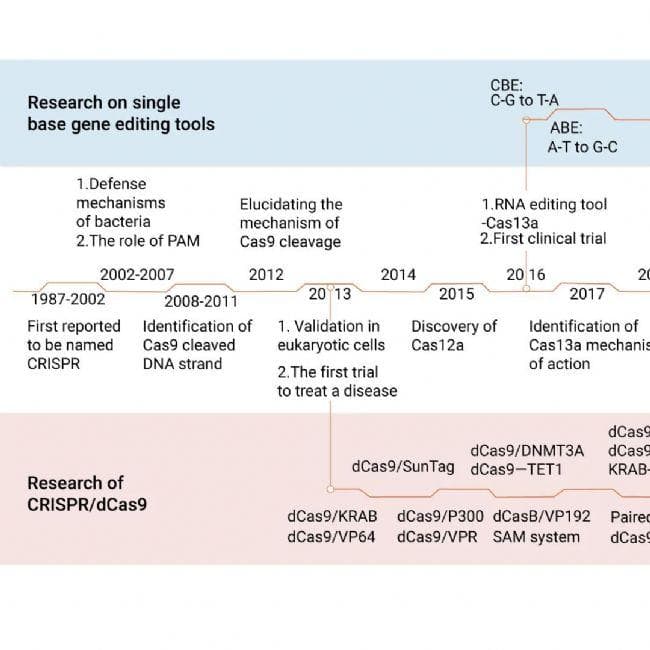 不仅仅是编辑：CRISPR Cas 基因编辑技术及其应用