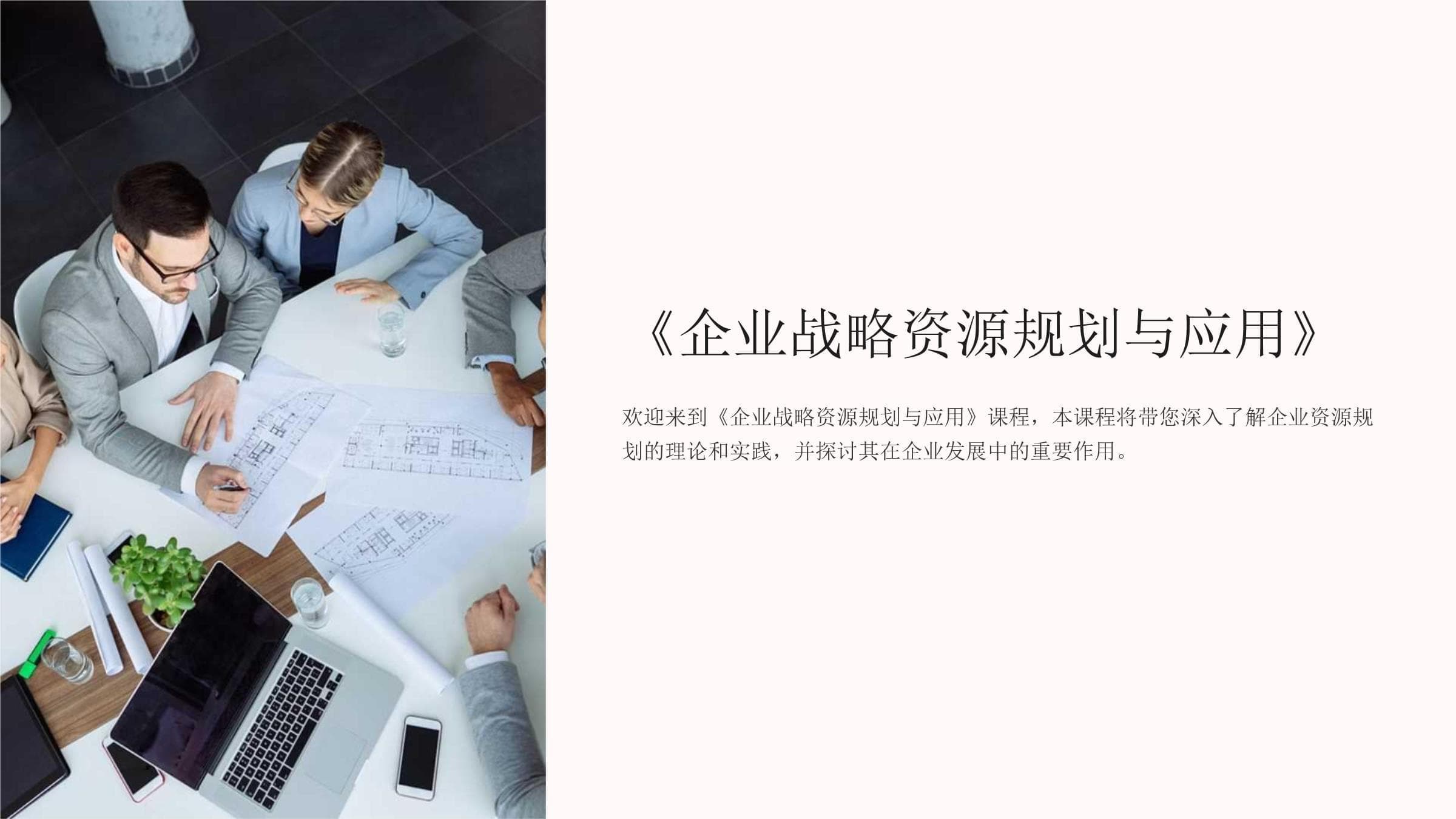 企业战略资源规划与应用