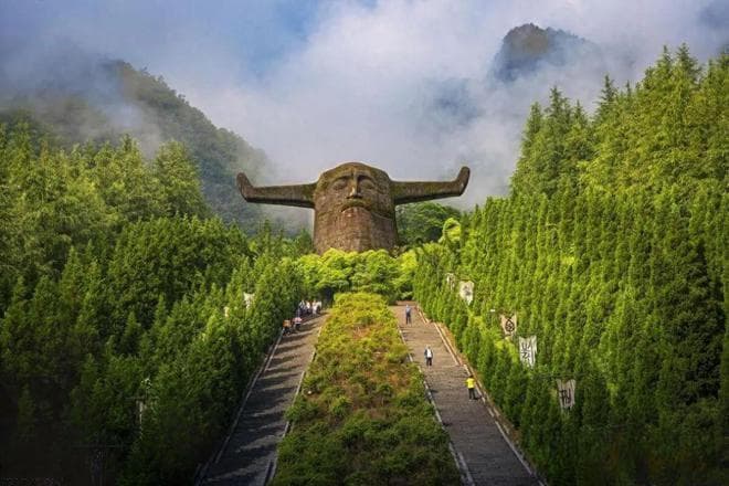 揭秘“神农四宝”：中国传统中药材中的四大传奇