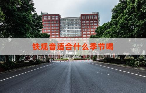 铁观音适合什么季节喝？不同季节品饮铁观音的享受