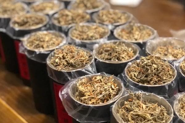 老鹰茶的功效与作用，提神醒脑/生津止渴/清热降火/明目健胃
