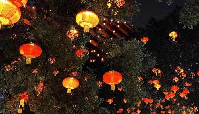精选30句高情商晚安情话，让爱意在夜晚蔓延