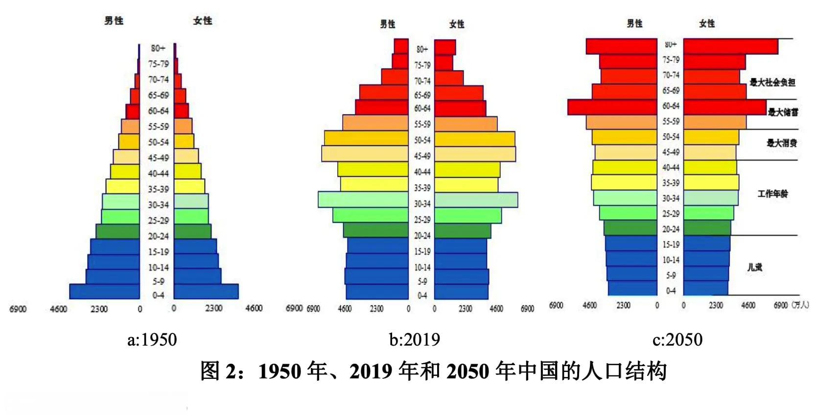 人口转型：从世界经验到中国应对