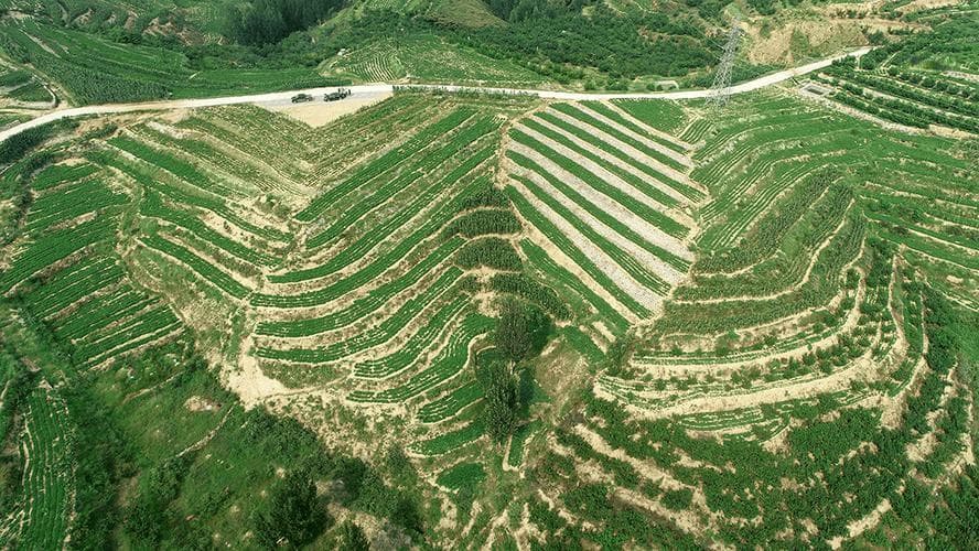 土壤修复：破解土地污染难题的关键技术