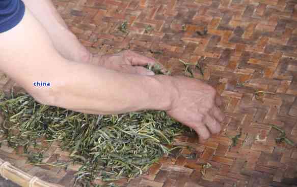 普洱茶： 砖茶与饼茶的深度对比，揭示二者间的差异与特色