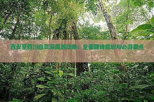 西安至四川自贡深度游攻略：全面路线规划与必游景点指南