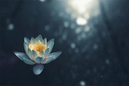鱼缸摆放与家居风水：家里有鱼缸影响风水吗？