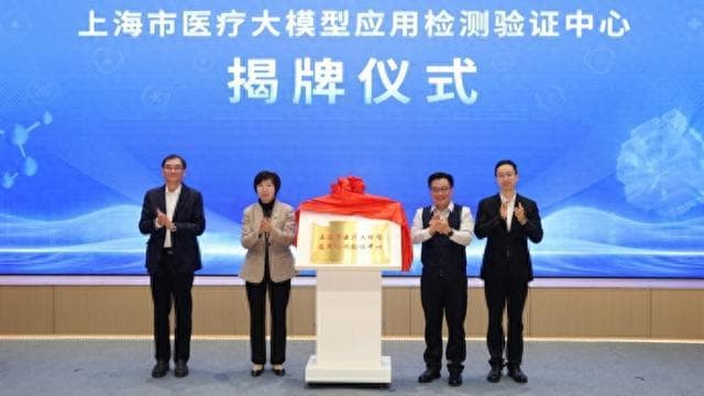 上海推动AI与医疗深度融合，国内首个医疗大模型检测验证平台成立