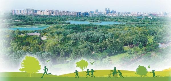 从1.3%到44.9%：北京70年绿色变迁打造“千园之城”