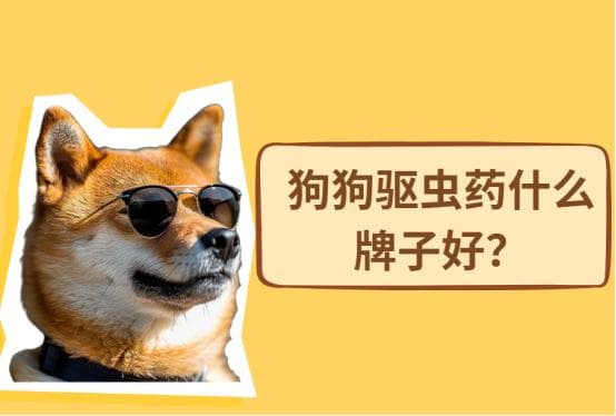 狗狗驱虫药什么牌子好？这几种可以内外都驱！