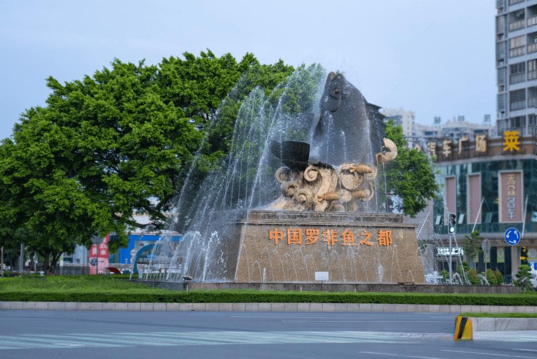 百千万工程·茂名观察 | 茂南罗非鱼如何加快“融珠入湾”