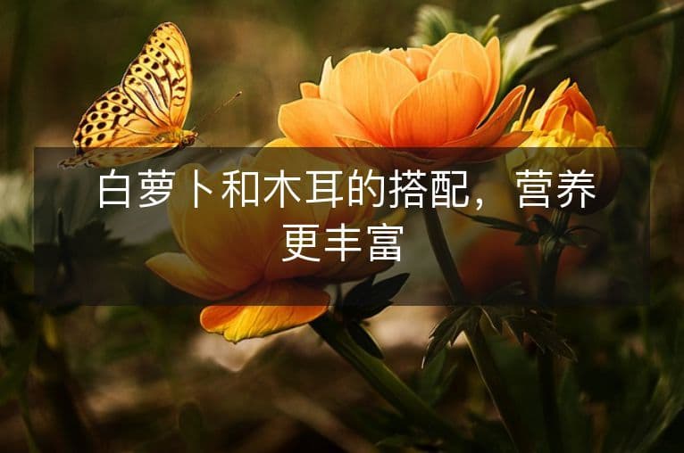 白萝卜和木耳的搭配，营养更丰富