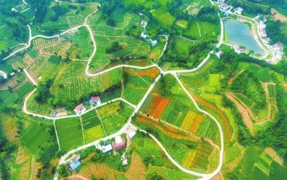 资阳“四好农村路”织就乡村振兴幸福网