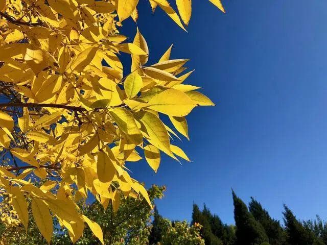 10月必喝的十大汤品，最适合10月喝的十大汤品排名