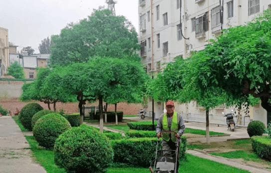 园林植物的夏季养护