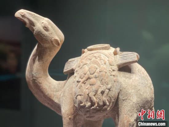 文化观察：希腊酒神为何会出现在中国文物上？