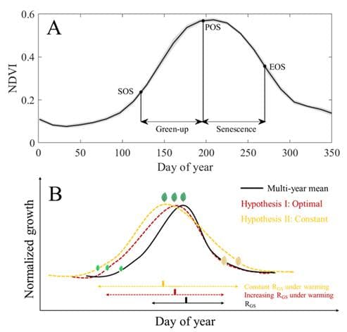 科学家发现植物抵抗气候变化的时间机制