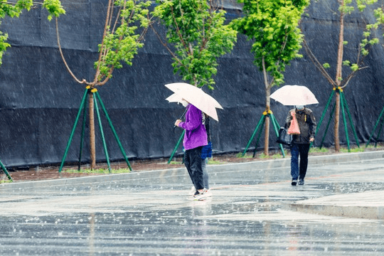 “春旱”来不来，就看雨水，明日雨水节气，今年会出现春旱吗？