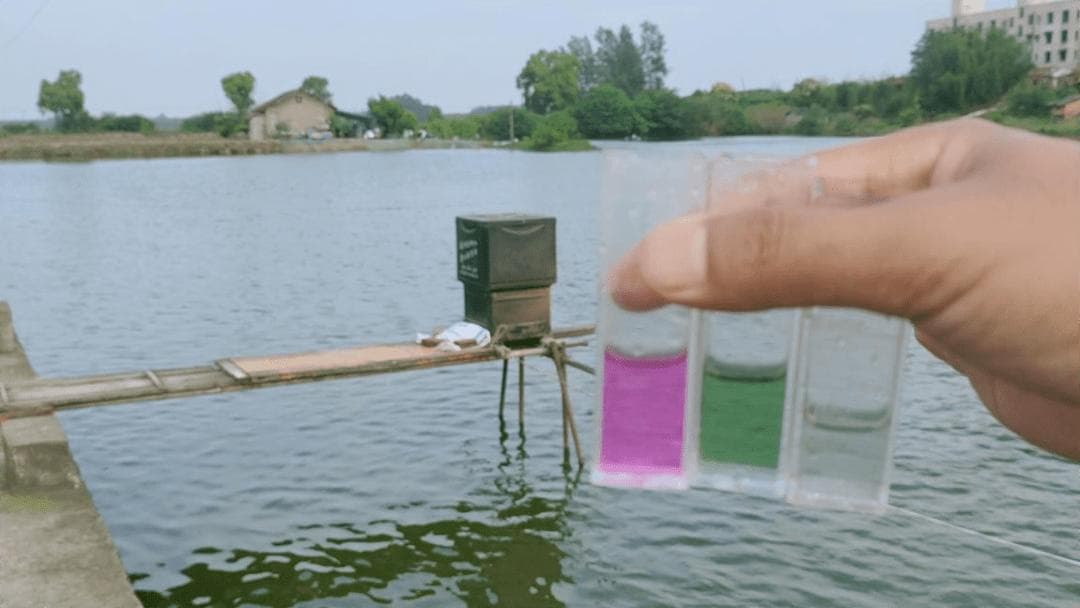 水产养殖技术：如何科学降低鱼塘pH值？