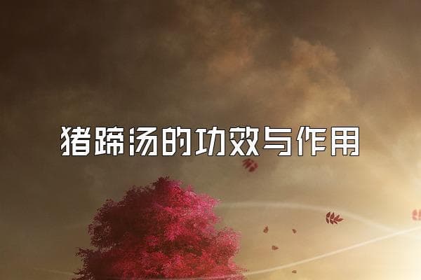 猪蹄汤的功效与作用