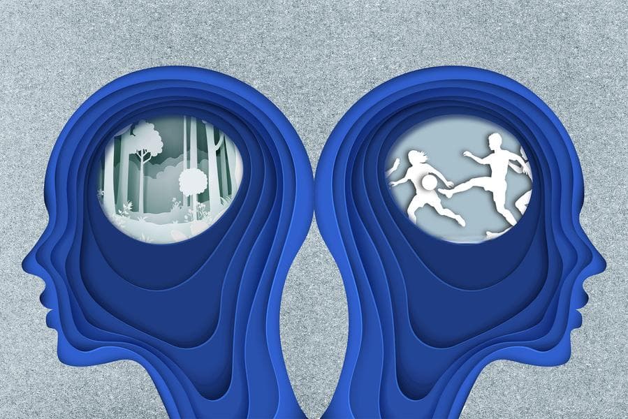 人是如何记住事儿的？MIT科学家揭开了秘密