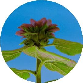 医学影像检查中造影剂使用间隔时间最新研究：不同肾功能状态下的安全指南