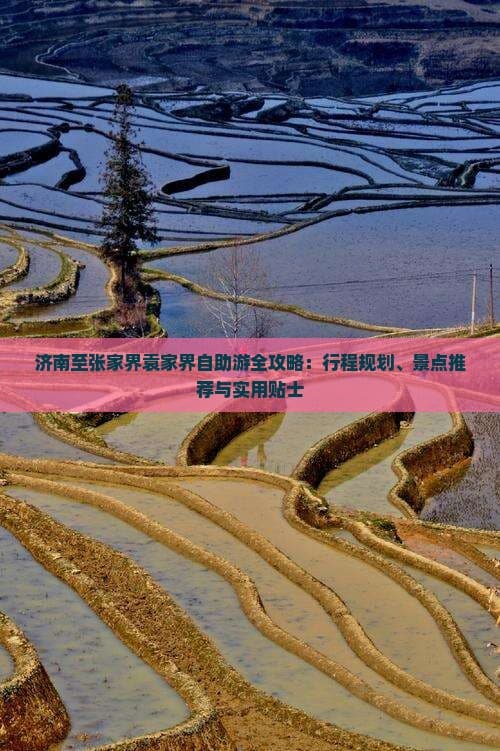 济南至张家界袁家界自助游全攻略：行程规划、景点推荐与实用贴士