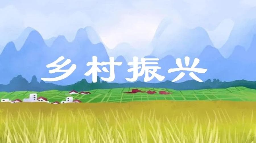 乡村振兴与农村基础设施建设：改善农民生产生活条件，构建宜居宜业的美丽乡村
