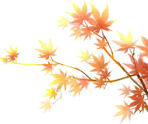 揭秘龙袍之下烛影斧声的真相