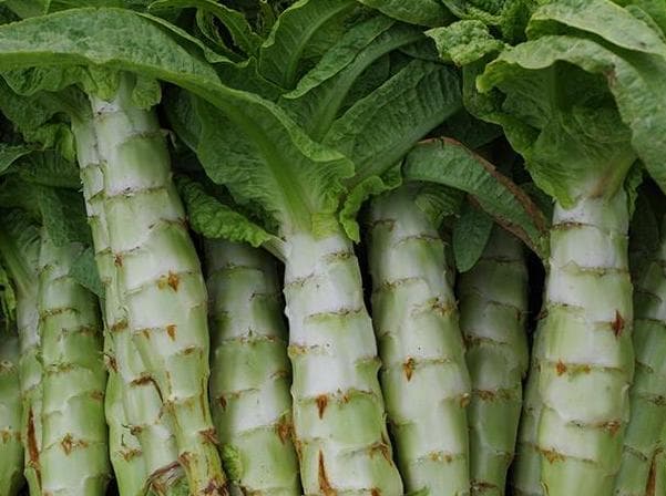 莴笋炖煮最佳时间与技巧揭秘
