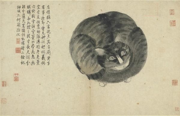 寻猫启示｜中国猫掠影：用猫画祝寿，为猫封官晋爵