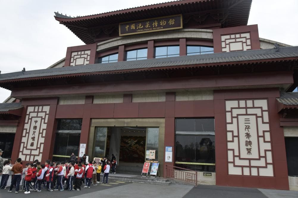 从东坡到AI：新一代健康泡菜一“泡”走红