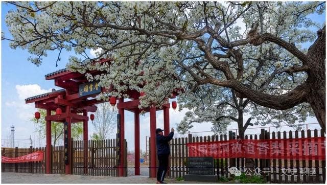 丰子恺：春将半，正是寻春时节