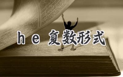 他们：探究语言中的性别代词和多元化表达