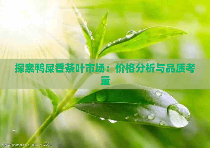 探索鸭屎香茶叶市场：价格分析与品质考量