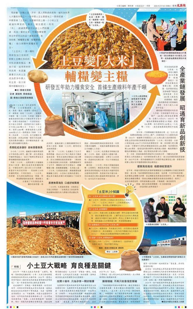土豆变“大米” 辅粮变主粮！云南昭通“土豆米” 走进香港《文汇报》