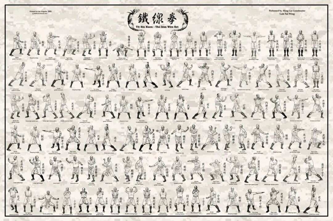 洪家至宝【铁线拳】“运动肢干，畅通血脉，壮魄健体，反弱为强”