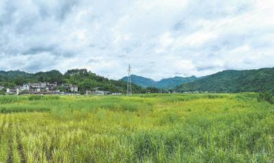 为心灵带来勇气和力量