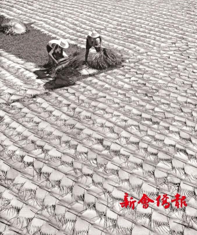 75年！新会岁月变迁……