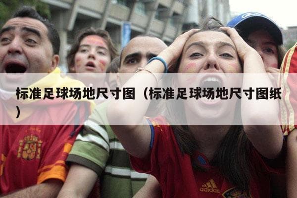 足球场地尺寸标准规范：11人制与5人制球场详细解析