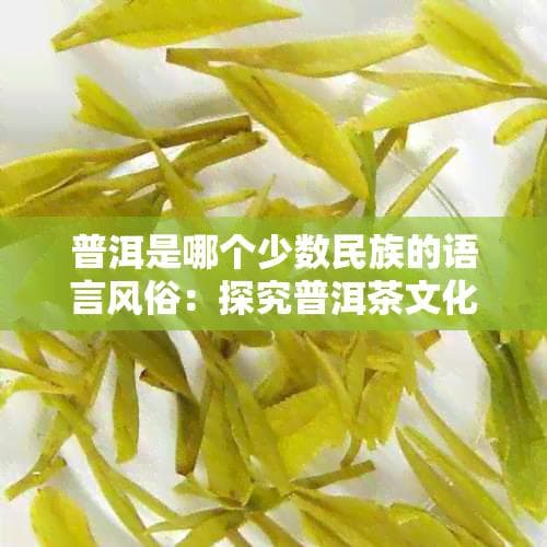 普洱是哪个少数民族的语言风俗：探究普洱茶文化背后的民族特色