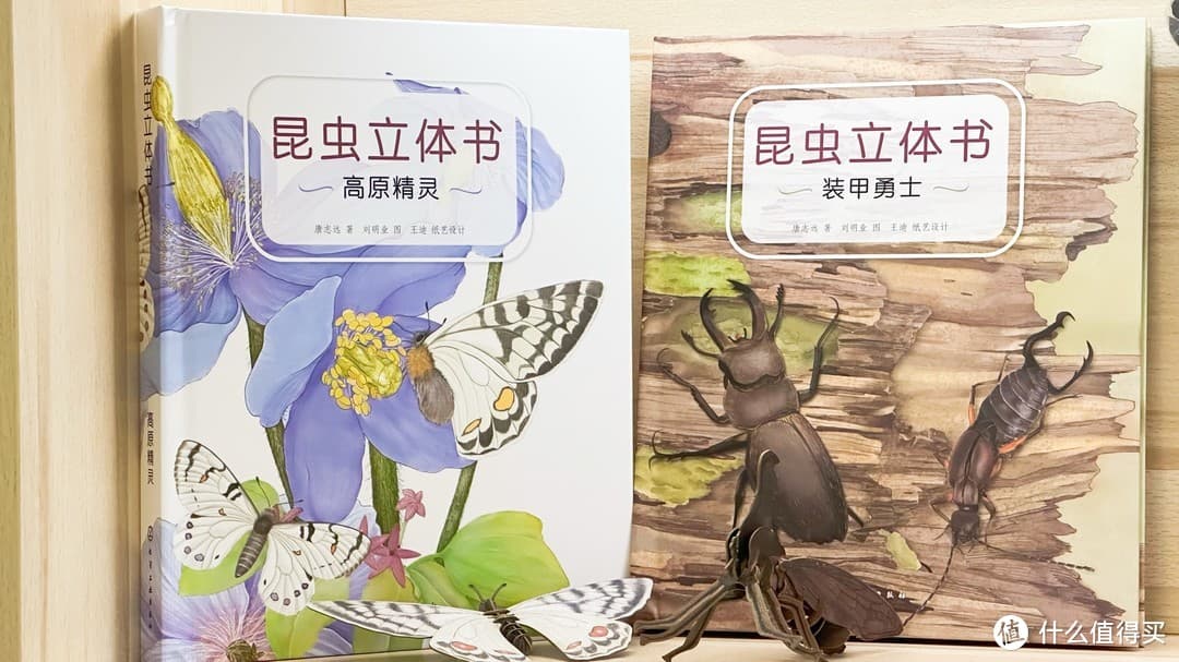 《昆虫立体书》深度测评：触手可及的自然奇观