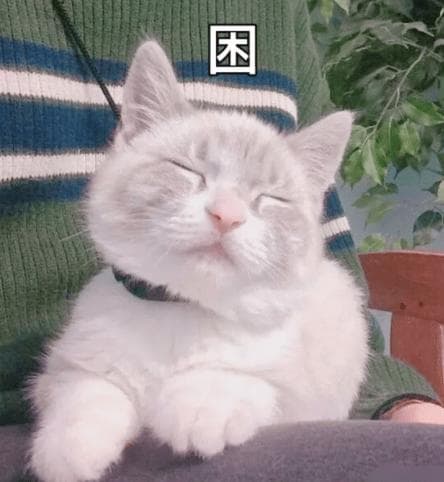 致“特困生”：克 服 困 意 的 N 种 办 法