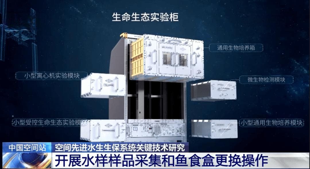 “太空出差”满月，航天员们都在忙啥呢？