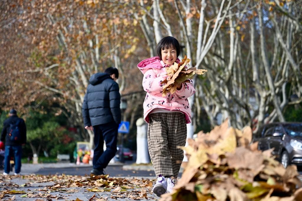 杭州的浪漫：落叶不扫，归于诗意