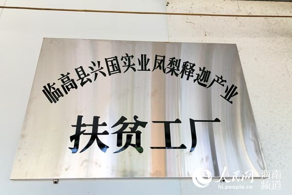 海南四地产业扶贫见成效：因地制宜发展特色产业助农民增收