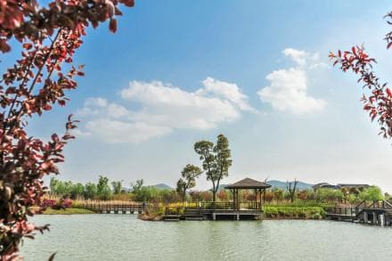 江苏苏州太湖国家湿地公园